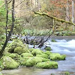 Pod Skalo Kamnik