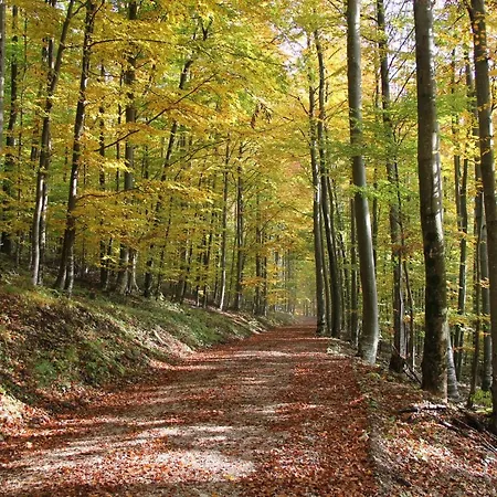 Pod Skalo Oda ve Kahvaltı