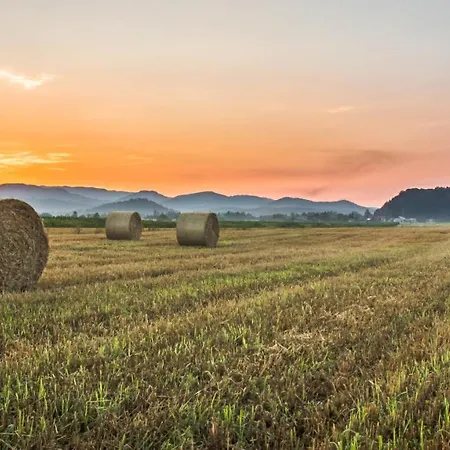 Pod Skalo Oda ve Kahvaltı