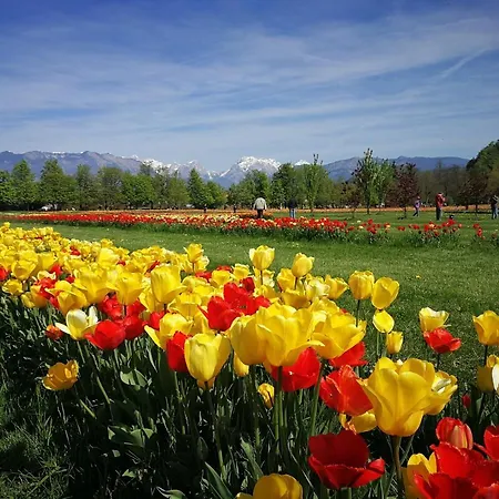 Pod Skalo Oda ve Kahvaltı 3*