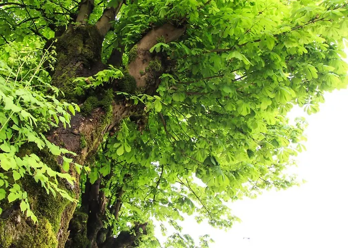 krevet i doručak Pod Skalo Kamnik