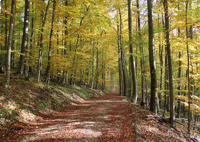 Pod Skalo krevet i doručak