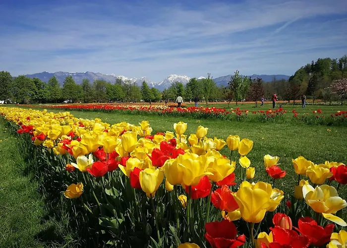 Pod Skalo krevet i doručak 3*