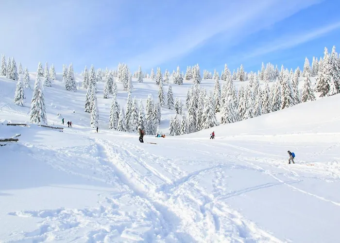 Pod Skalo Bed & Breakfast